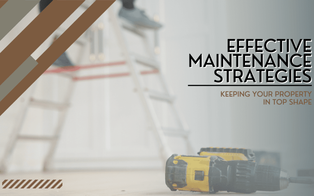 Effective Maintenance Strategies for Murrieta Rentals: Keeping Your Property in Top Shape